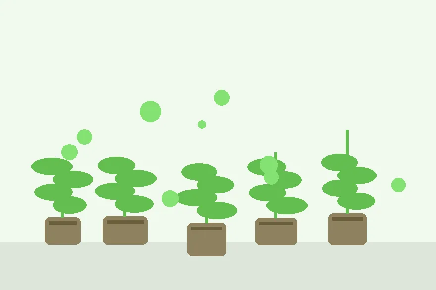 Choosing a Small Container for Rooting: Depth, Drainage and Stability