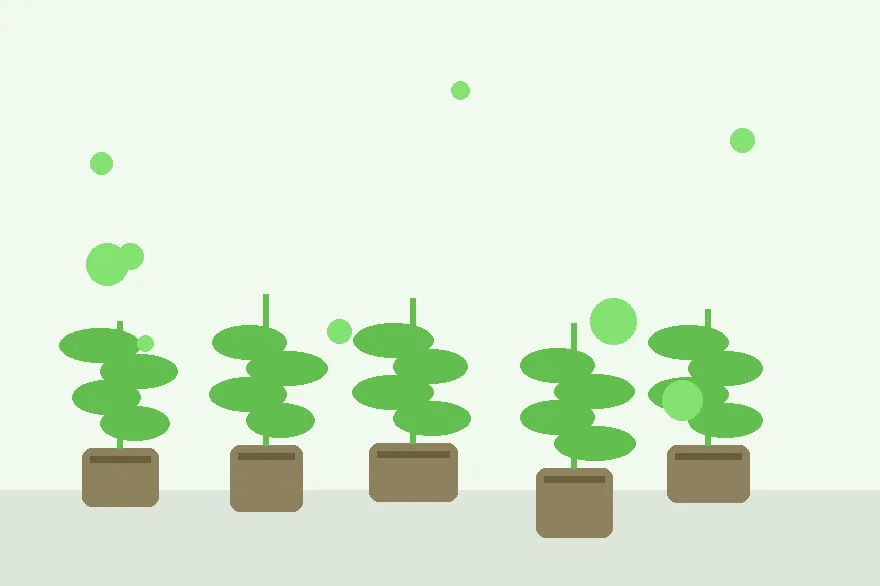 A Simple Propagation Notebook That Actually Helps Next Season