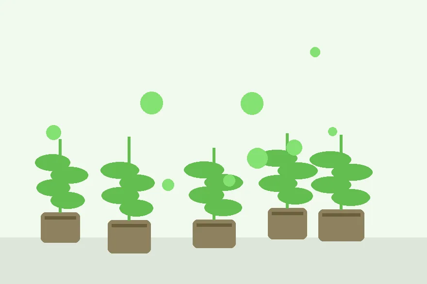 When to Remove the Humidity Cover From Rooted Cuttings