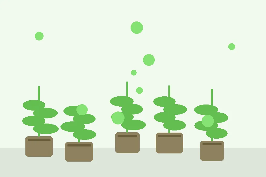 Why Cuttings Wilt Even When the Medium Looks Wet